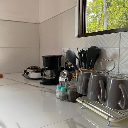 Anluka-House Apartment Puerto Jimenez Ngoại thất bức ảnh